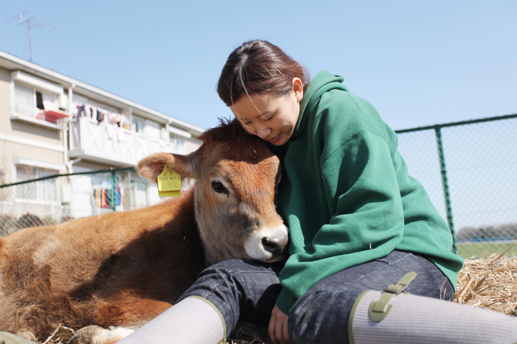 そんな生き方あったんや！】第20回「牛の呼吸を感じながら撮る」牛写真